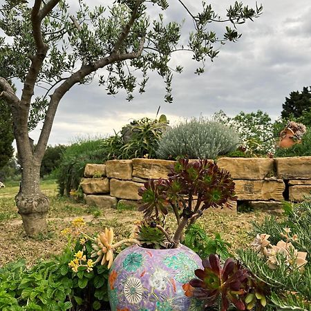 Istrian Green House Portoroz Bagian luar foto
