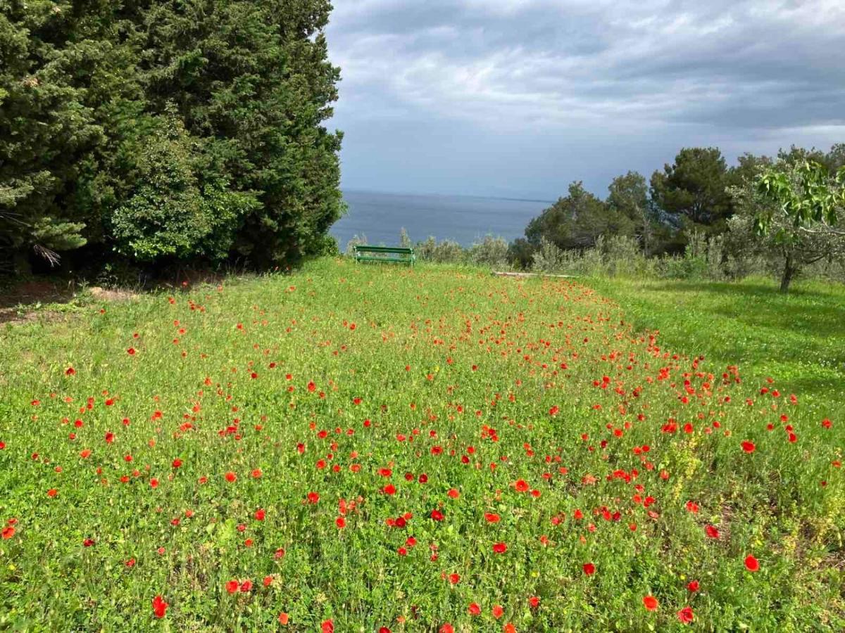 Istrian Green House Portoroz Bagian luar foto