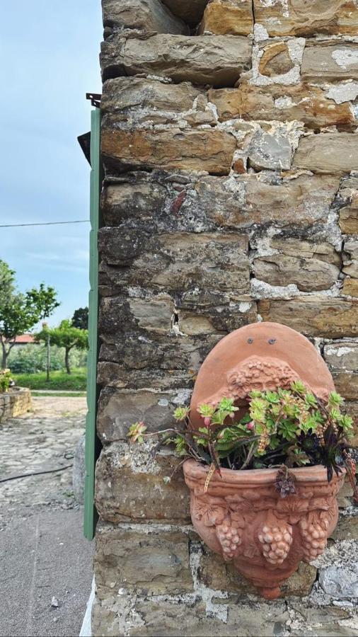 Istrian Green House Portoroz Bagian luar foto