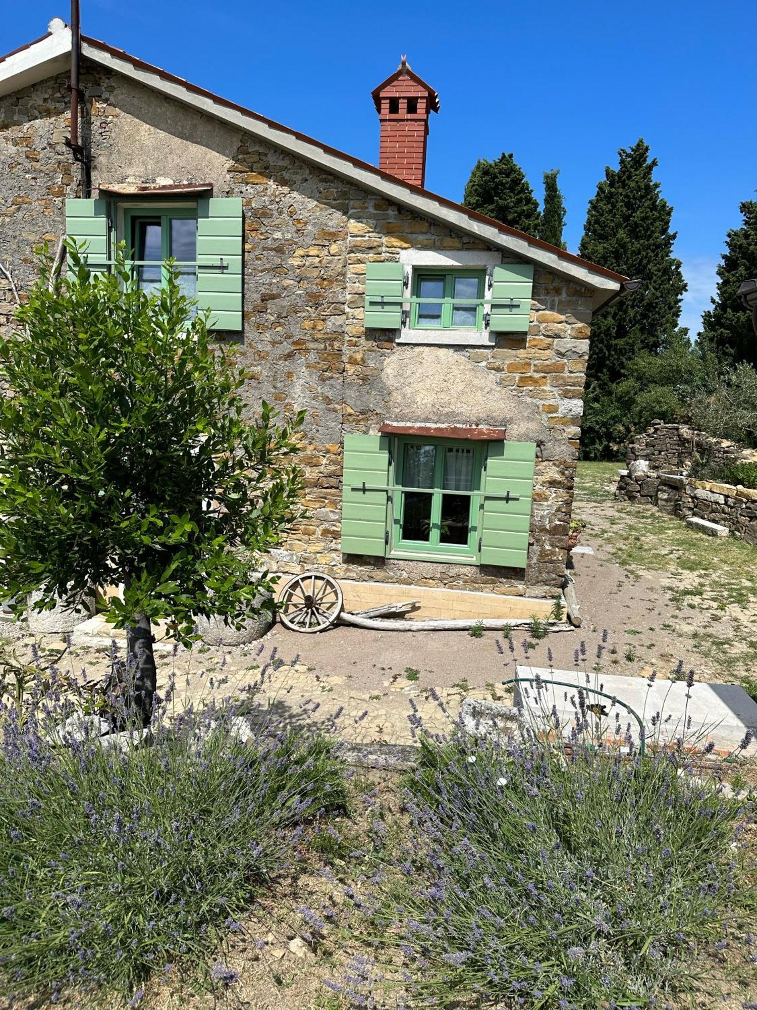 Istrian Green House Portoroz Bagian luar foto